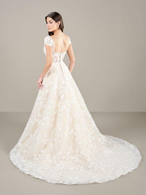 Adrianna Papell Platinum 31282 Ball Gown Lace | Hannan House Bridal Boutique